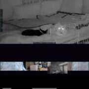 ヒメ日記 2026/01/20 11:25 投稿 かれん ファッションヘルス カリスマ