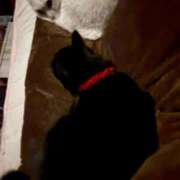 ヒメ日記 2026/01/22 11:35 投稿 かれん ファッションヘルス カリスマ