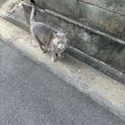 ヒメ日記 2026/02/02 12:35 投稿 かれん ファッションヘルス カリスマ