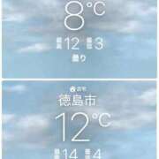 ヒメ日記 2026/02/06 11:05 投稿 かれん ファッションヘルス カリスマ