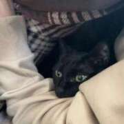 ヒメ日記 2026/02/19 16:05 投稿 かれん ファッションヘルス カリスマ