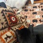 ヒメ日記 2026/02/27 10:35 投稿 かれん ファッションヘルス カリスマ