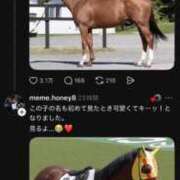 ヒメ日記 2026/03/03 19:35 投稿 かれん ファッションヘルス カリスマ