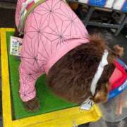 ヒメ日記 2026/03/12 16:25 投稿 かれん ファッションヘルス カリスマ