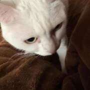 ヒメ日記 2026/03/14 12:35 投稿 かれん ファッションヘルス カリスマ