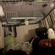 ヒメ日記 2026/03/17 09:55 投稿 かれん ファッションヘルス カリスマ