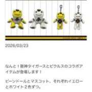 ヒメ日記 2026/04/09 12:35 投稿 かれん ファッションヘルス カリスマ