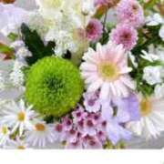 ヒメ日記 2026/04/13 23:17 投稿 かれん ファッションヘルス カリスマ