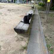 ヒメ日記 2026/06/09 12:50 投稿 かれん ファッションヘルス カリスマ