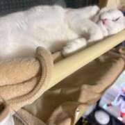 ヒメ日記 2026/07/25 11:05 投稿 かれん ファッションヘルス カリスマ