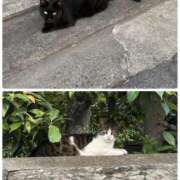 ヒメ日記 2026/08/08 10:25 投稿 かれん ファッションヘルス カリスマ