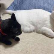ヒメ日記 2026/08/18 10:35 投稿 かれん ファッションヘルス カリスマ