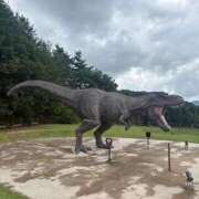 ヒメ日記 2026/09/11 11:35 投稿 かれん ファッションヘルス カリスマ