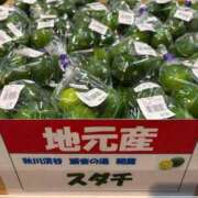 ヒメ日記 2026/09/26 13:05 投稿 かれん ファッションヘルス カリスマ