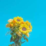 ヒメ日記 2025/08/01 20:55 投稿 なみ 綺麗なお姉様専門　新横浜リング4C（アンジェリークグループ）