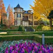 ヒメ日記 2025/12/11 12:23 投稿 なみ 綺麗なお姉様専門　新横浜リング4C（アンジェリークグループ）