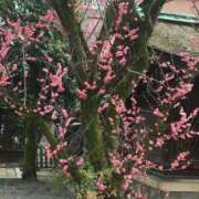 ヒメ日記 2026/04/09 02:30 投稿 ケイト コンプレックス(京都)