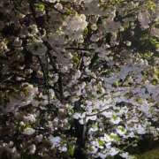 ヒメ日記 2026/04/11 12:38 投稿 ケイト コンプレックス(京都)
