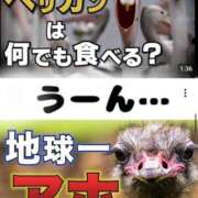 ヒメ日記 2026/06/18 15:02 投稿 ケイト コンプレックス(京都)