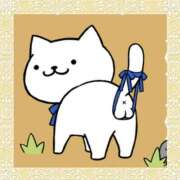 ヒメ日記 2025/04/07 21:51 投稿 ヒイロ コンプレックス(京都)