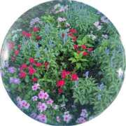 ヒメ日記 2025/08/11 07:33 投稿 ゆう 池袋おかあさん