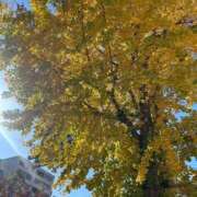 ゆう 13時より 池袋おかあさん