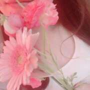 ヒメ日記 2025/03/14 20:23 投稿 なのか 人妻美人館