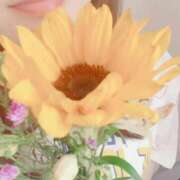 ヒメ日記 2025/08/10 20:13 投稿 なのか 人妻美人館