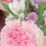 ヒメ日記 2025/08/11 19:51 投稿 なのか 人妻美人館