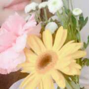 ヒメ日記 2025/09/12 12:25 投稿 なのか 人妻美人館