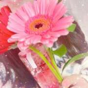 ヒメ日記 2026/01/13 20:36 投稿 なのか 人妻美人館