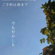 ヒメ日記 2024/10/12 04:45 投稿 湊かすみ ローテンブルク