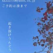 ヒメ日記 2024/11/21 05:27 投稿 湊かすみ ローテンブルク