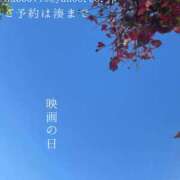 ヒメ日記 2024/11/30 09:11 投稿 湊かすみ ローテンブルク