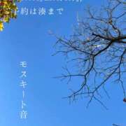 ヒメ日記 2024/12/11 00:27 投稿 湊かすみ ローテンブルク