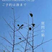 ヒメ日記 2024/12/13 00:33 投稿 湊かすみ ローテンブルク