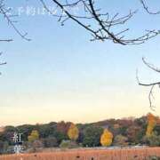 ヒメ日記 2024/12/13 23:59 投稿 湊かすみ ローテンブルク