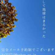 ヒメ日記 2024/12/14 00:24 投稿 湊かすみ ローテンブルク