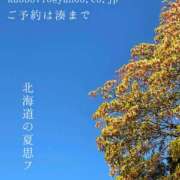 ヒメ日記 2024/12/14 00:42 投稿 湊かすみ ローテンブルク