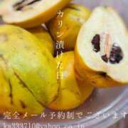 ヒメ日記 2024/12/15 00:40 投稿 湊かすみ ローテンブルク