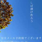 ヒメ日記 2024/12/17 06:09 投稿 湊かすみ ローテンブルク