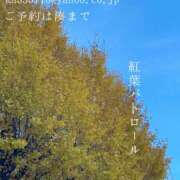 ヒメ日記 2024/12/19 00:09 投稿 湊かすみ ローテンブルク
