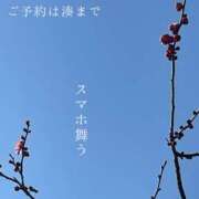 ヒメ日記 2025/02/06 03:25 投稿 湊かすみ ローテンブルク