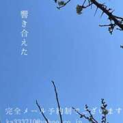 ヒメ日記 2025/02/06 03:45 投稿 湊かすみ ローテンブルク