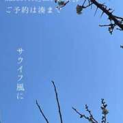 ヒメ日記 2025/02/07 09:42 投稿 湊かすみ ローテンブルク