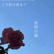 ヒメ日記 2025/02/08 09:43 投稿 湊かすみ ローテンブルク