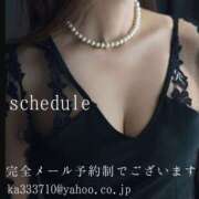 ヒメ日記 2025/02/08 23:06 投稿 湊かすみ ローテンブルク