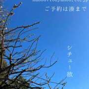 ヒメ日記 2025/02/08 23:26 投稿 湊かすみ ローテンブルク