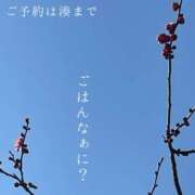 ヒメ日記 2025/02/09 00:04 投稿 湊かすみ ローテンブルク