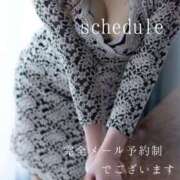 ヒメ日記 2025/02/10 07:46 投稿 湊かすみ ローテンブルク